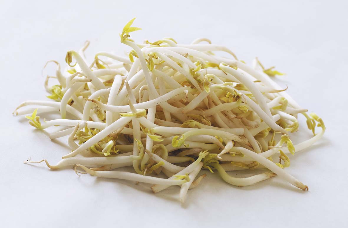 bean sprouts 7 فوائد صحية لبراعم الصويا، المكون الذي لا يغيب عن الأطباق الشرق الآسيوية